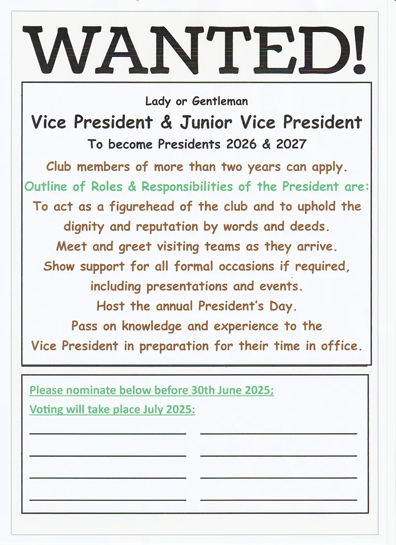 VICE PRESIDENT